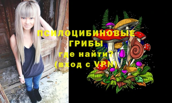 прущая мука Вязьма