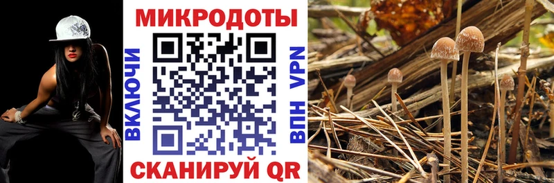 Галлюциногенные грибы прущие грибы  наркошоп  Кумертау 